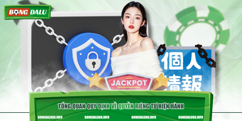 Tổng quan quy định về quyền riêng tư hiện hành